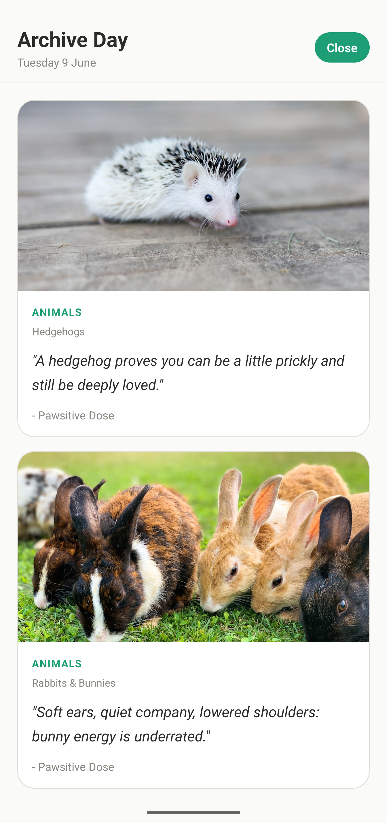 Pawsitive Dose saved cards archive.