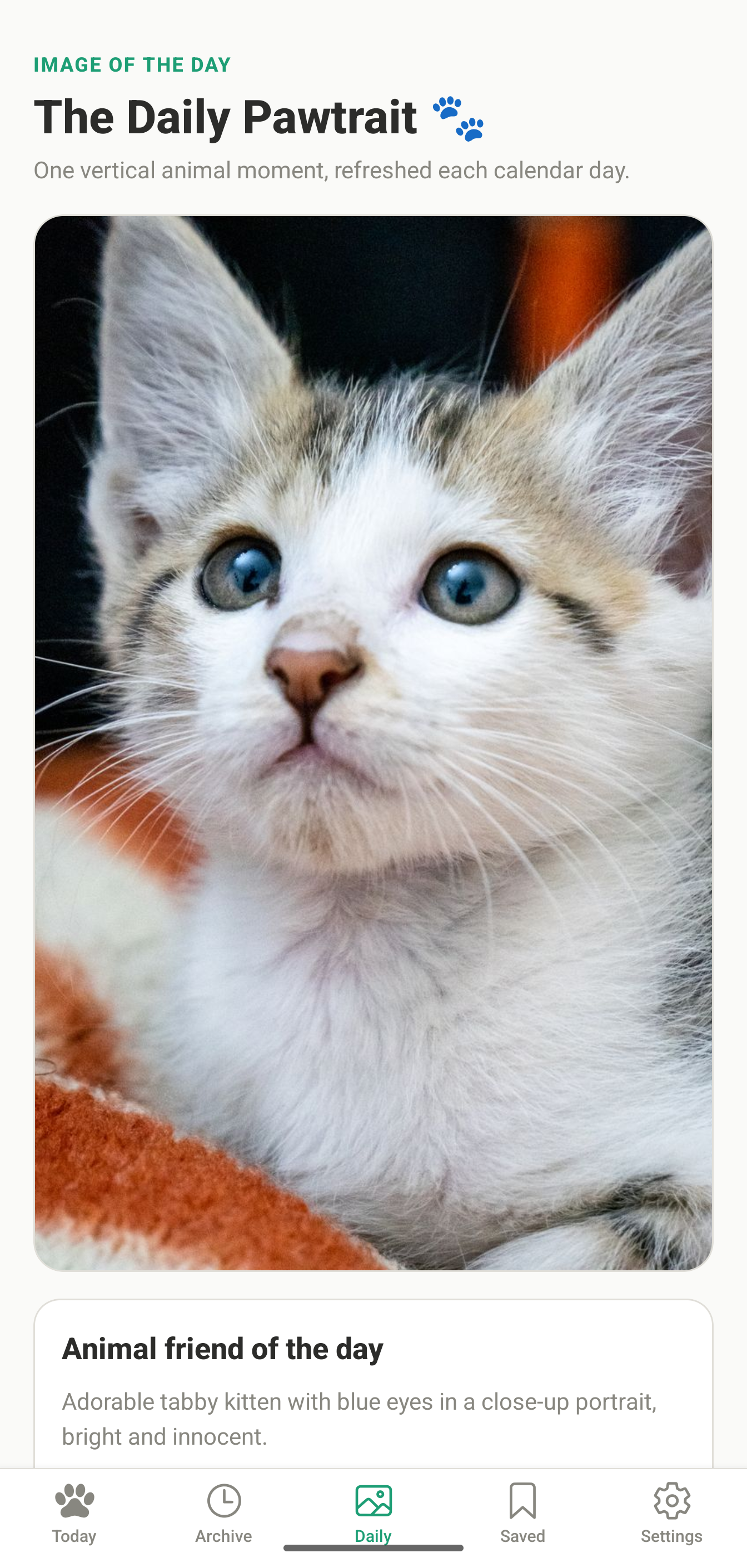 Pawsitive Dose animal photo card.