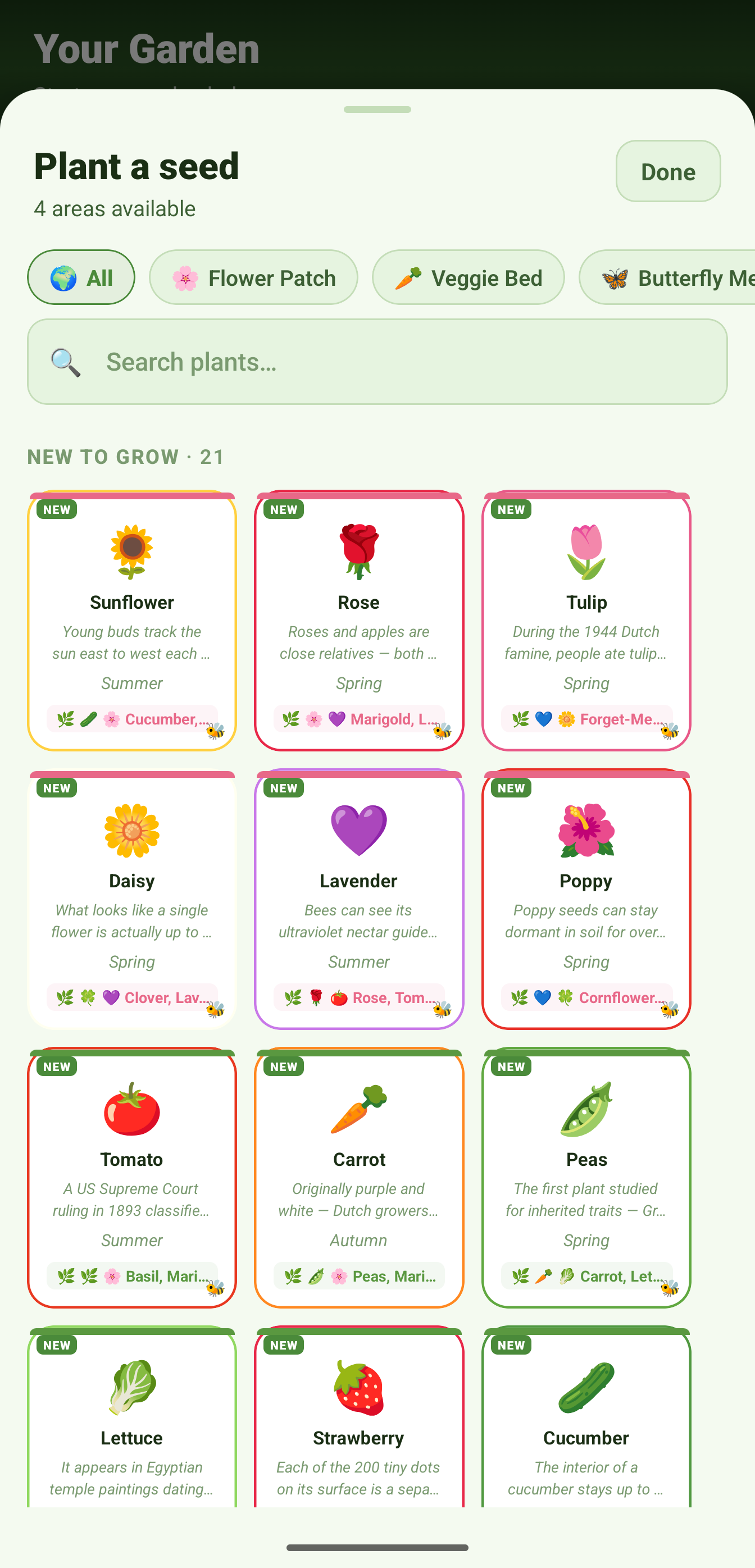 SnackPack Garden World plant-a-seed activity.